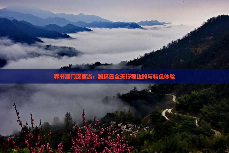 春节澳门深度游：路环岛全天行程攻略与特色体验
