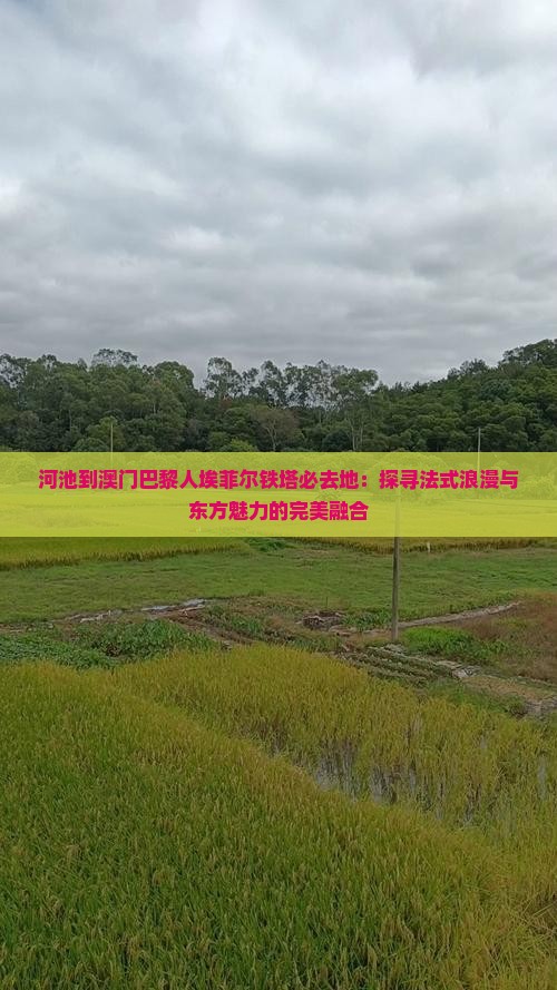 河池到澳门巴黎人埃菲尔铁塔必去地：探寻法式浪漫与东方魅力的完美融合