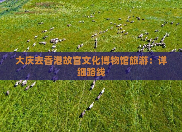 大庆去香港故宫文化博物馆旅游：详细路线