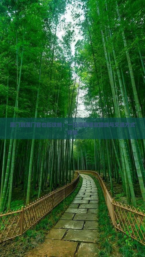 厦门到澳门官也街攻略：一日游最便宜路线与交通方式详解