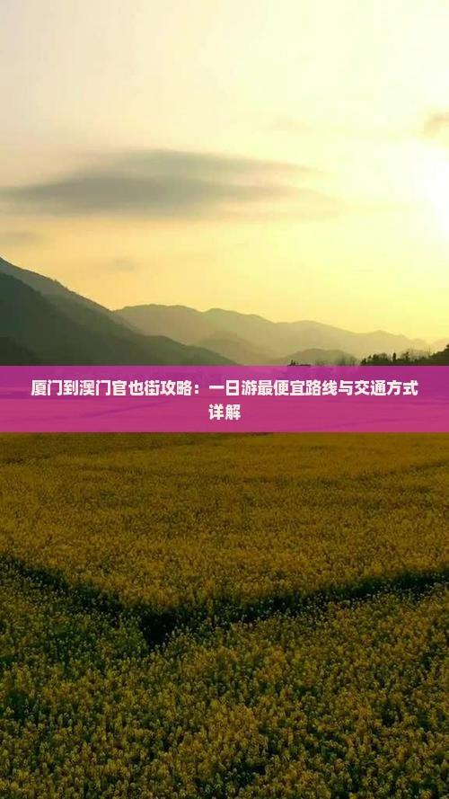 厦门到澳门官也街攻略：一日游最便宜路线与交通方式详解