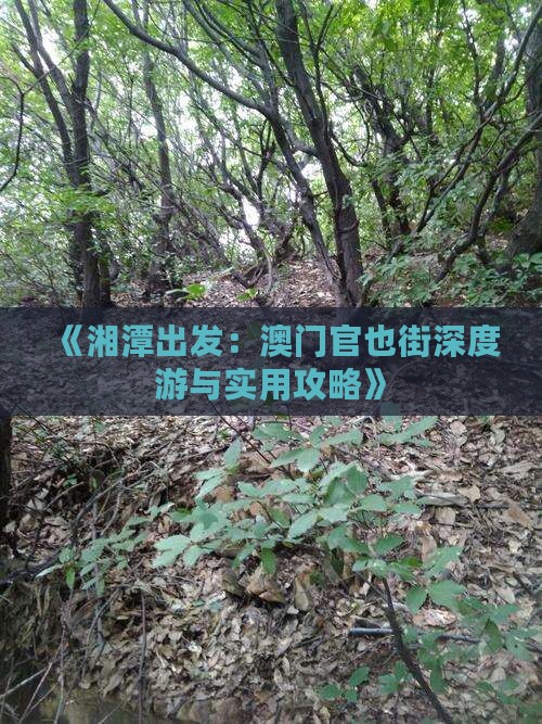 《湘潭出发:澳门官也街深度游与实用攻略》 《湘潭出发:澳门官也街深度游与实用攻略》