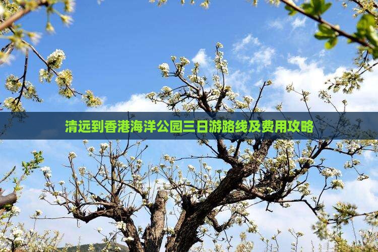 清远到香港海洋公园三日游路线及费用攻略