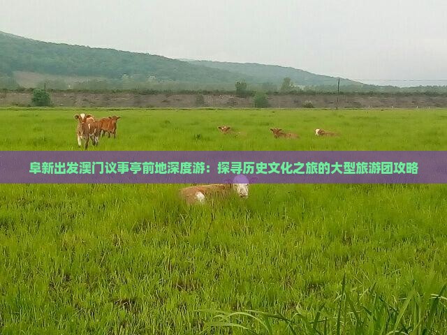 阜新出发澳门议事亭前地深度游：探寻历史文化之旅的大型旅游团攻略