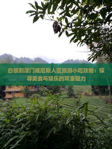 白银到澳门威尼斯人区旅游小吃攻略：探寻美食与娱乐的双重魅力