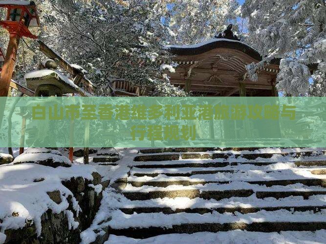 白山市至香港维多利亚港旅游攻略与行程规划