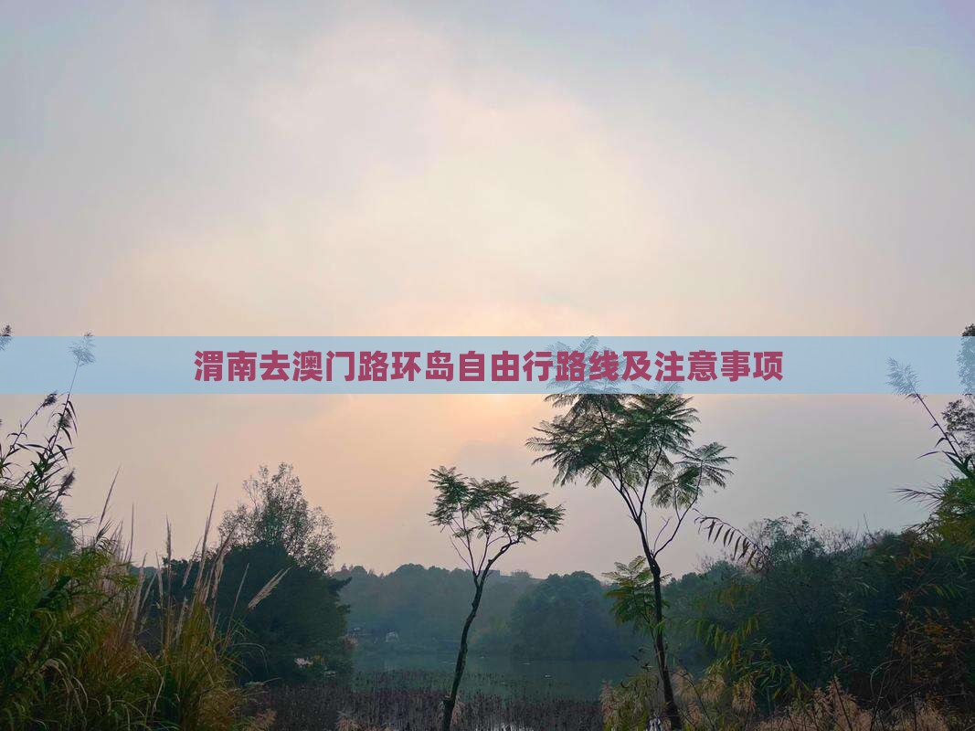 渭南去澳门路环岛自由行路线及注意事项