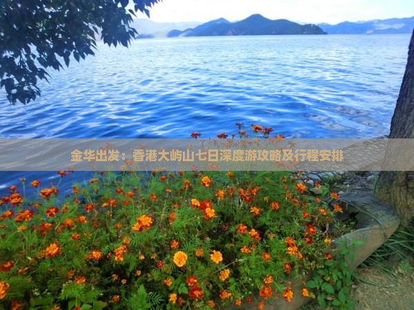 金华出发：香港大屿山七日深度游攻略及行程安排