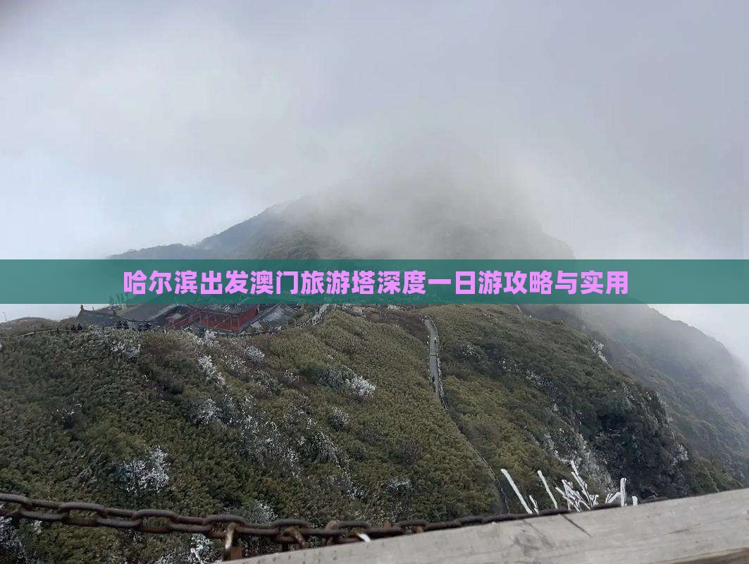 哈尔滨出发澳门旅游塔深度一日游攻略与实用
