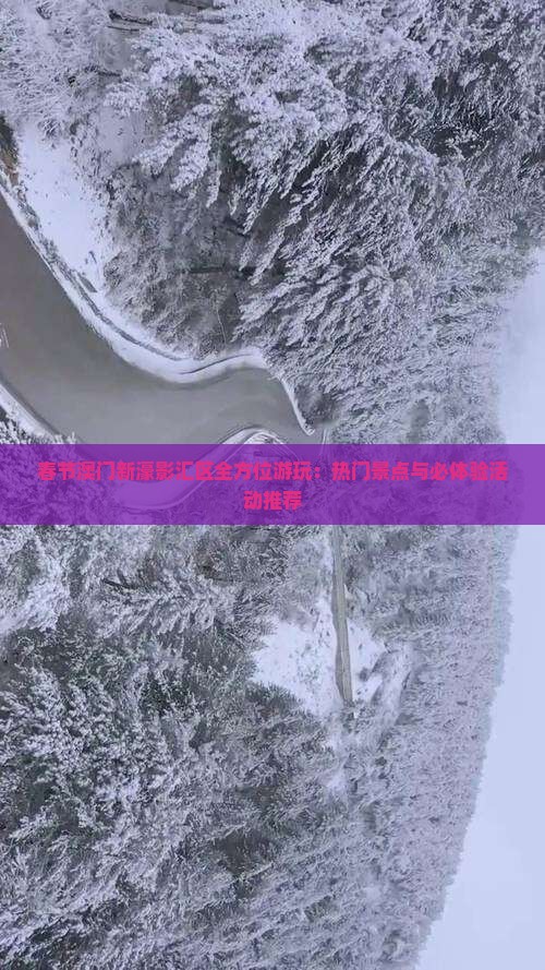 春节澳门新濠影汇区全方位游玩：热门景点与必体验活动推荐