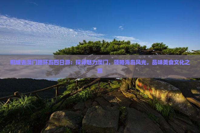 桐城去澳门路环岛四日游：探寻魅力澳门，领略海岛风光，品味美食文化之旅