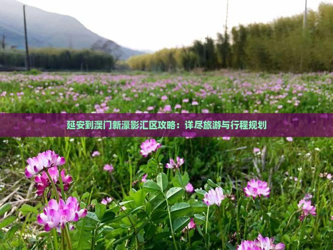 延安到澳门新濠影汇区攻略：详尽旅游与行程规划