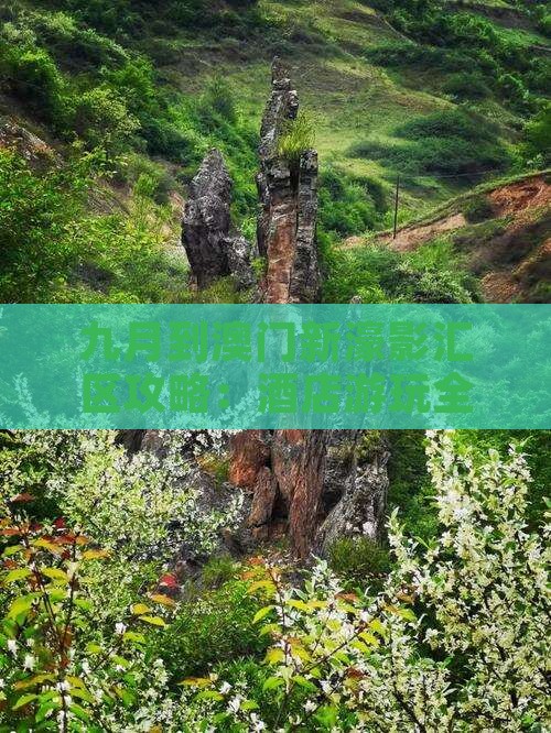 九月到澳门新濠影汇区攻略：酒店游玩全