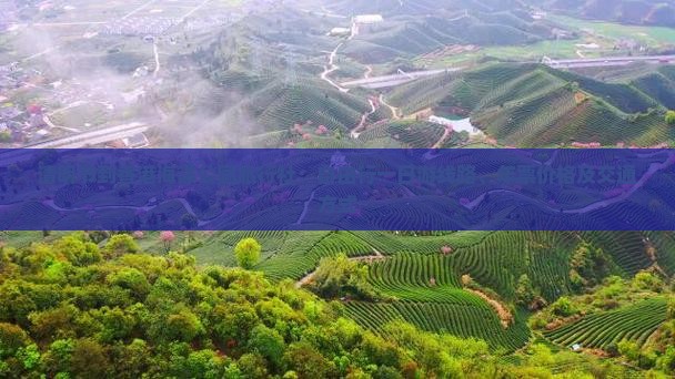 清明节到香港海洋公园旅行社：自由行一日游线路、年票价格及交通方式