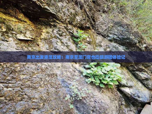 南京出发港澳攻略：南京至澳门官也街旅游团体验记