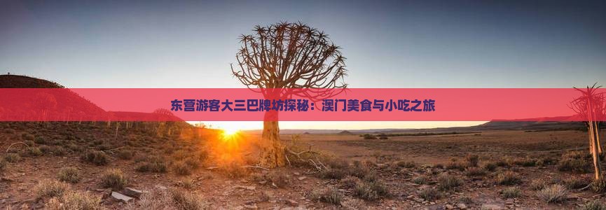东营游客大三巴牌坊探秘：澳门美食与小吃之旅