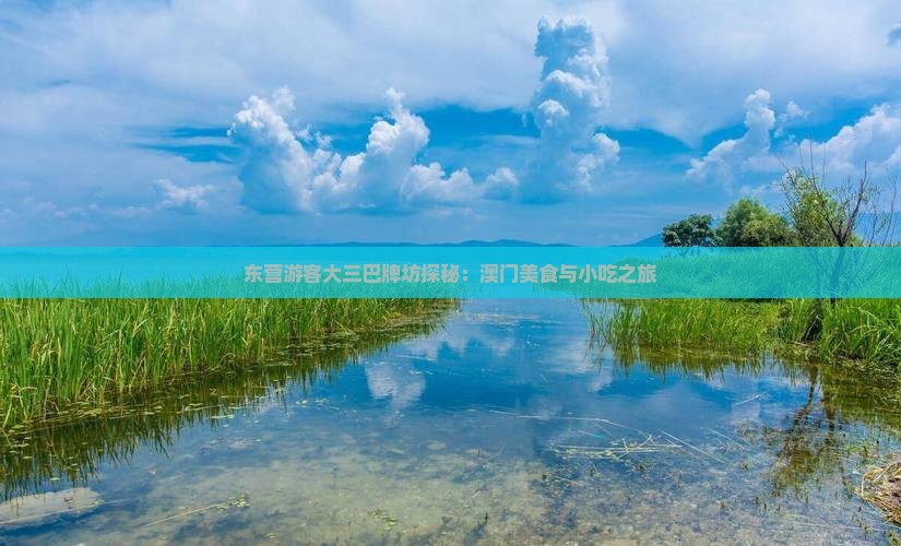 东营游客大三巴牌坊探秘：澳门美食与小吃之旅