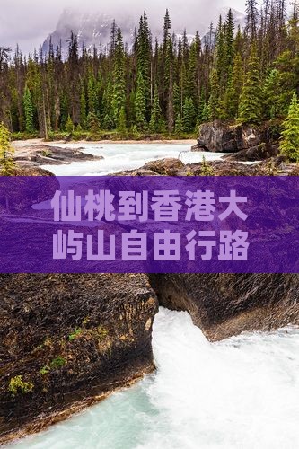 仙桃到香港大屿山自由行路线及费用攻略