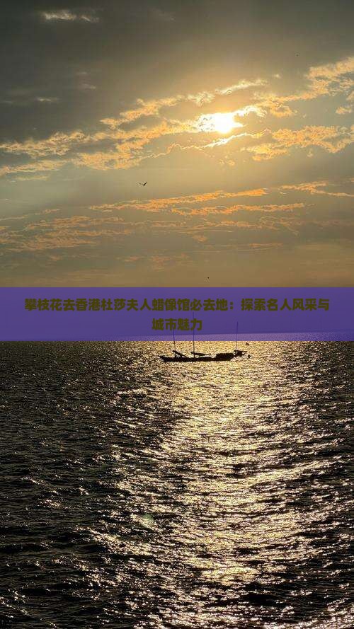 攀枝花去香港杜莎夫人蜡像馆必去地：探索名人风采与城市魅力