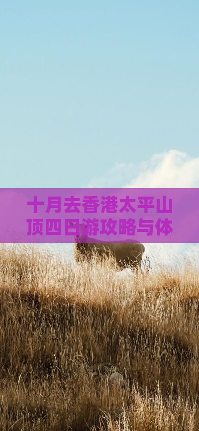 十月去香港太平山顶四日游攻略与体验分享