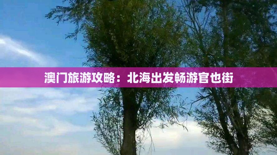 澳门旅游攻略：北海出发畅游官也街