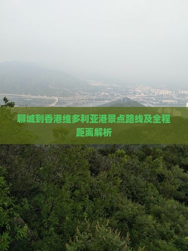 聊城到香港维多利亚港景点路线及全程距离解析