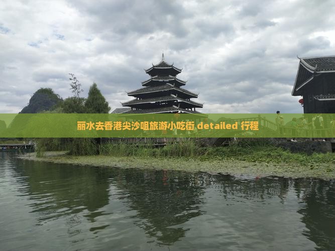丽水去香港尖沙咀旅游小吃街 detailed 行程