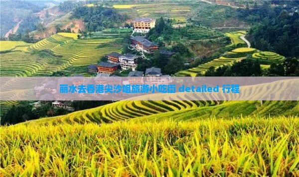 丽水去香港尖沙咀旅游小吃街 detailed 行程