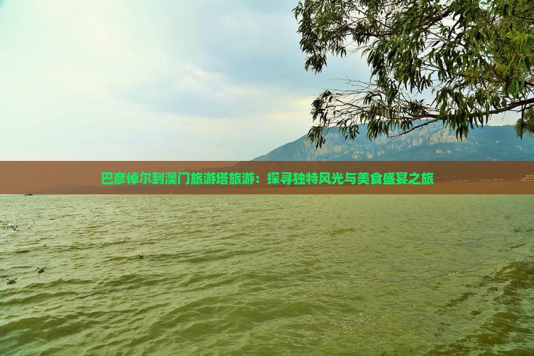巴彦倬尔到澳门旅游塔旅游：探寻独特风光与美食盛宴之旅