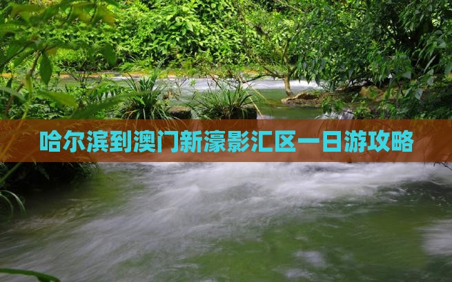 哈尔滨到澳门新濠影汇区一日游攻略