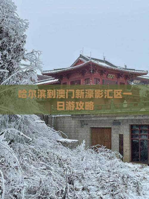 哈尔滨到澳门新濠影汇区一日游攻略