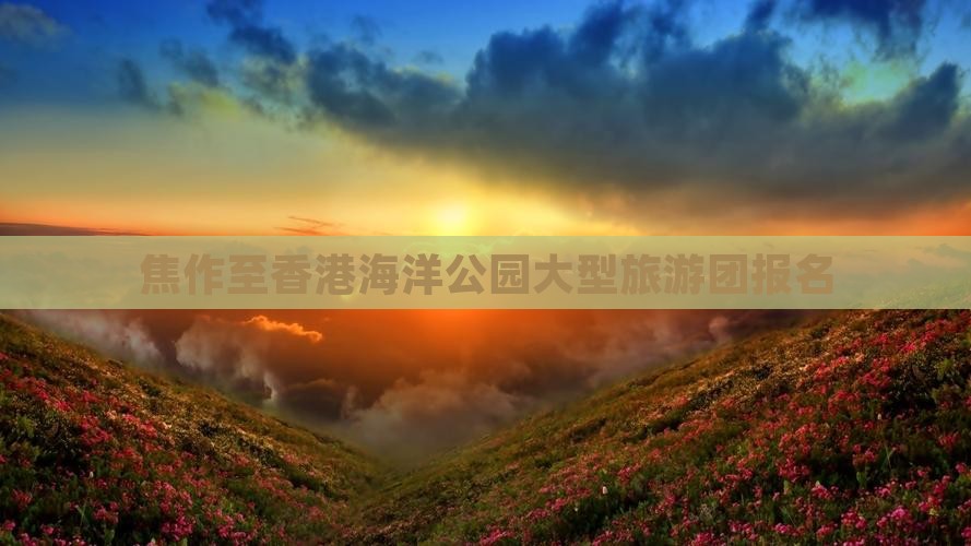 焦作至香港海洋公园大型旅游团报名