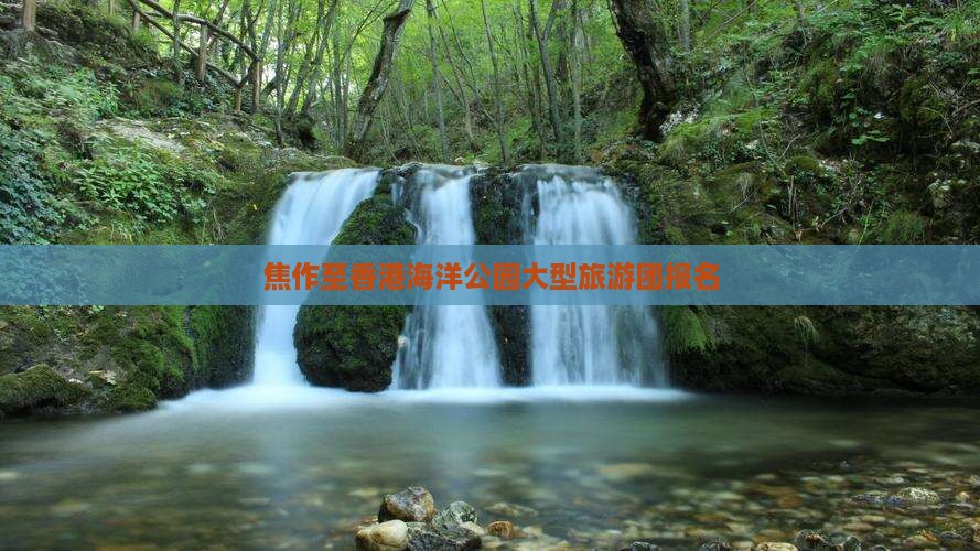 焦作至香港海洋公园大型旅游团报名