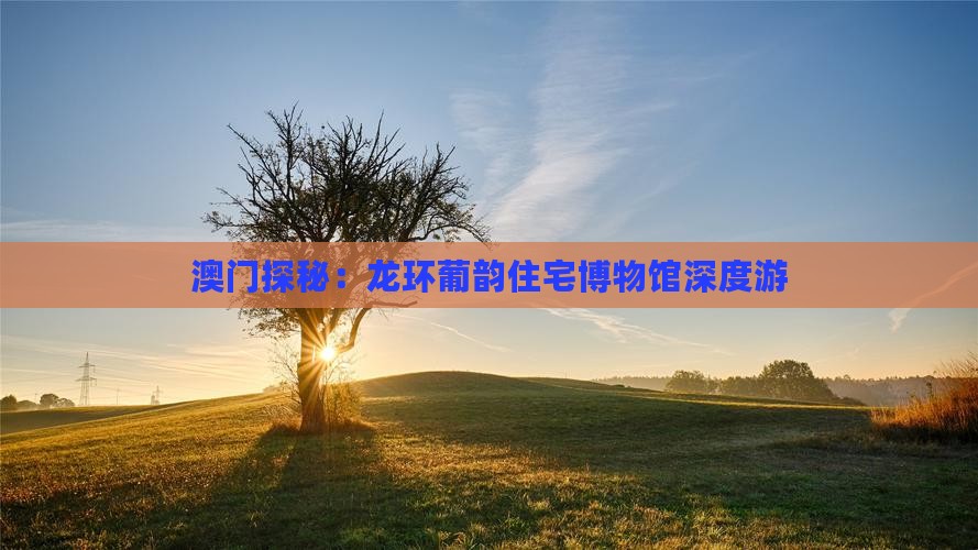 澳门探秘：龙环葡韵住宅博物馆深度游
