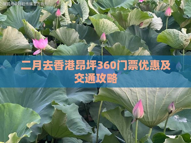 二月去香港昂坪360门票优惠及交通攻略