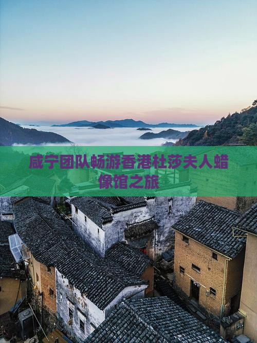 咸宁团队畅游香港杜莎夫人蜡像馆之旅