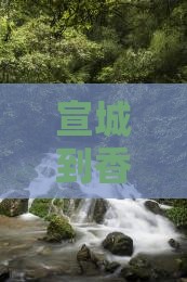 宣城到香港大屿山七日游全攻略 宣城到香港大屿山七日游全攻略