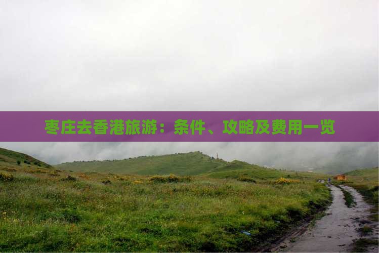 枣庄去香港旅游:条件、攻略及费用一览 枣庄去香港旅游:条件、攻略及费用一览