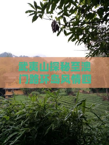 武夷山探秘至澳门路环岛风情四日探险之旅 武夷山探秘至澳门路环岛风情四日探险之旅