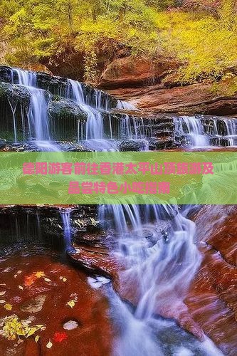 德阳游客前往香港太平山顶旅游及品尝特色小吃指南