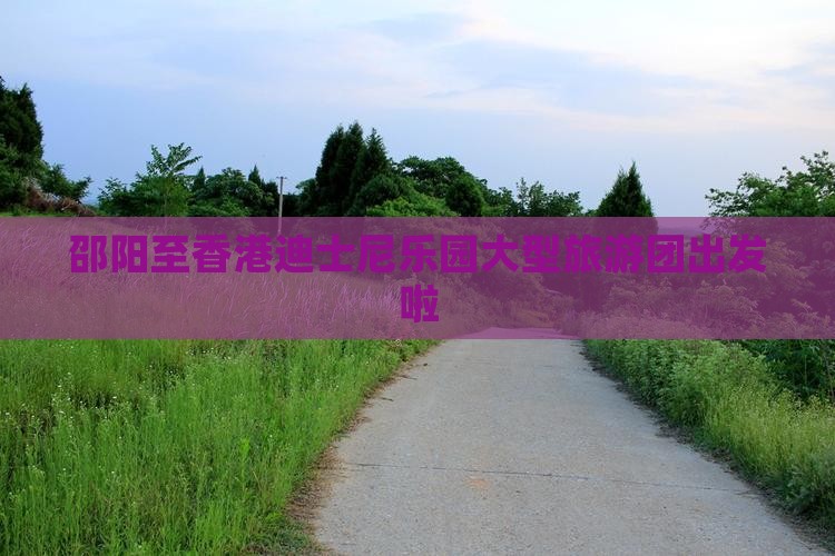 邵阳至香港迪士尼乐园大型旅游团出发啦