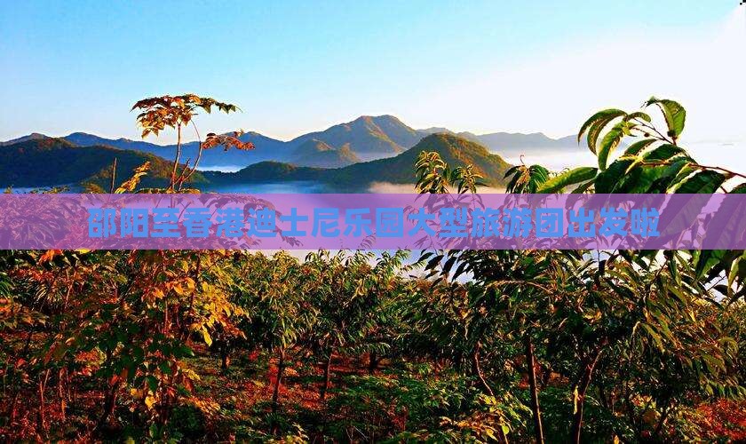 邵阳至香港迪士尼乐园大型旅游团出发啦