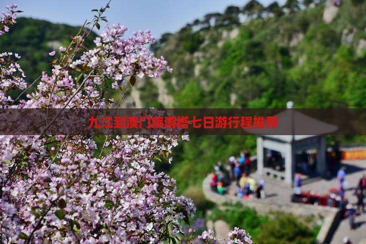 九江到澳门旅游塔七日游行程推荐