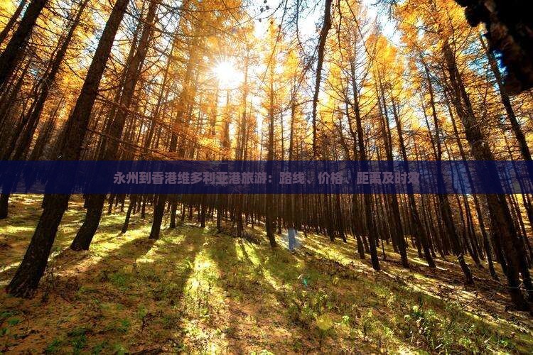 永州到香港维多利亚港旅游：路线、价格、距离及时效