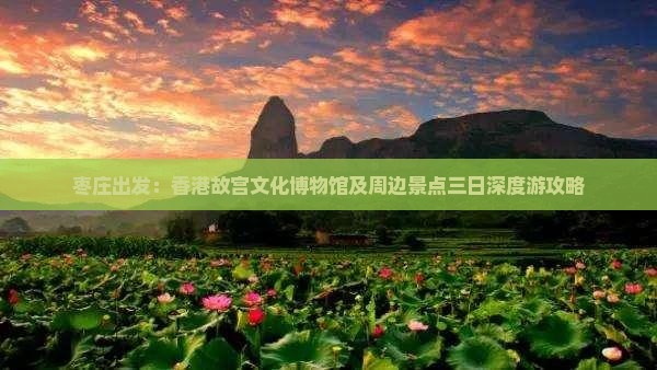 枣庄出发：香港故宫文化博物馆及周边景点三日深度游攻略
