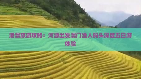港澳旅游攻略：河源出发澳门渔人码头深度五日游体验