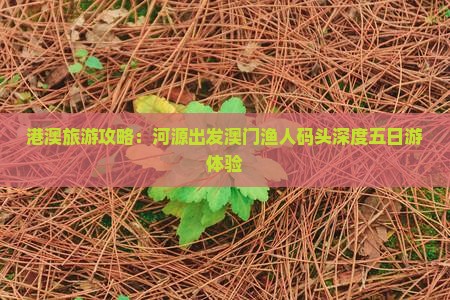 港澳旅游攻略：河源出发澳门渔人码头深度五日游体验