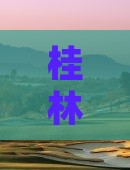 桂林去澳门一日游：预算、路线与交通攻略