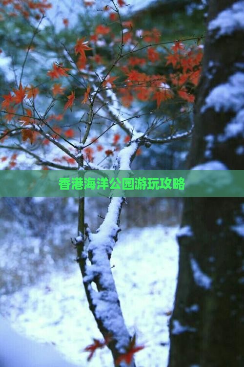 香港海洋公园游玩攻略