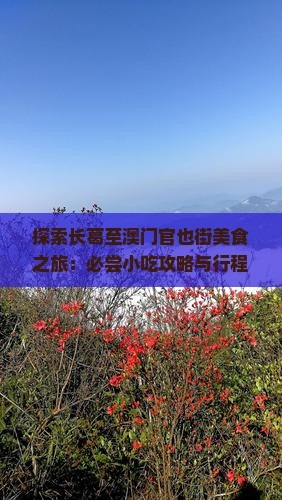 探索长葛至澳门官也街美食之旅：必尝小吃攻略与行程指南